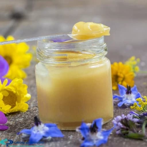 ژل رویال ایرانی طبیعی بسیار با کیفیت بسته 10 گرمی خالص، ارسال فقط در مشهد
