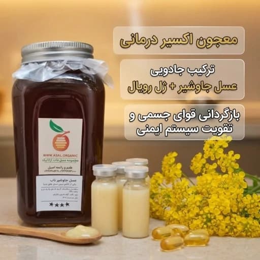 ژل رویال خالص برداشت 1405 (بیست گرم) ترکیب با یک کیلو عسل ناب جاوشیر (معجون اکسیر درمانی )