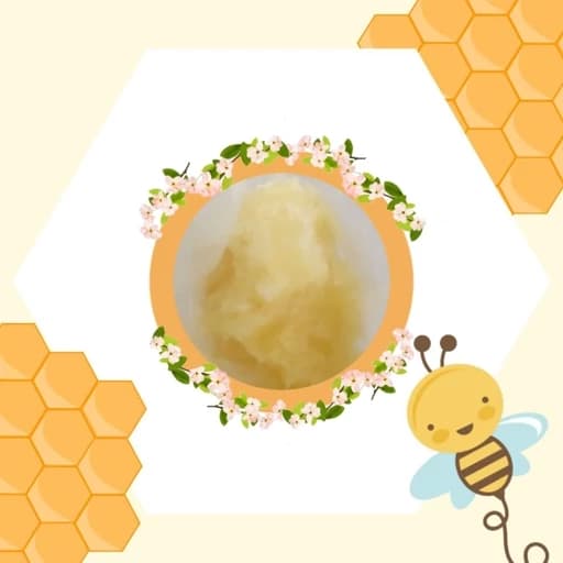 ژل رویال با عسل طبیعی (30 گرم ژل رویال در نیم کیلو عسل)