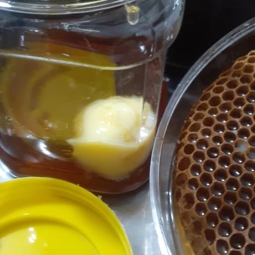 ژل رویال خالص طبیعی 50 گرم مخلوط با یک کیلو عسل طبیعی