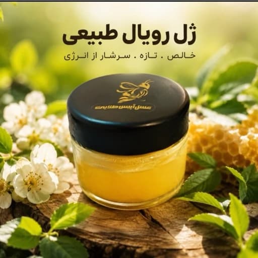 ژل رویال خالص آپیس طلایی 10 گرمی(ارسال فقط مشهد)
