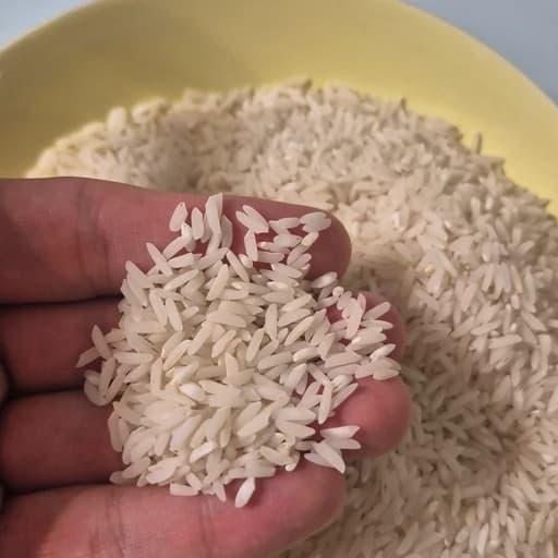 برنج طارم هاشمی (بدون بوجاری - اقتصادی) 10 کیلویی + ارسال رایگان