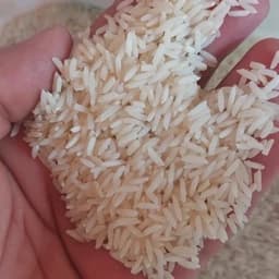 برنج طارم ندا (10 کیلویی) خوشپخت، روزانه — تصویر ۳