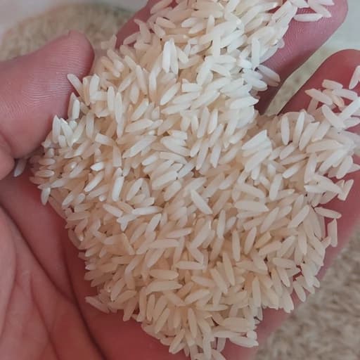 برنج طارم ندا (10 کیلویی) خوشپخت، روزانه