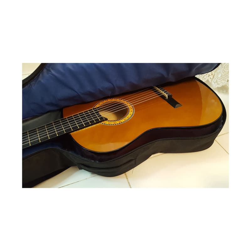 گیتار آرین مدل AK 30 — تصویر ۳