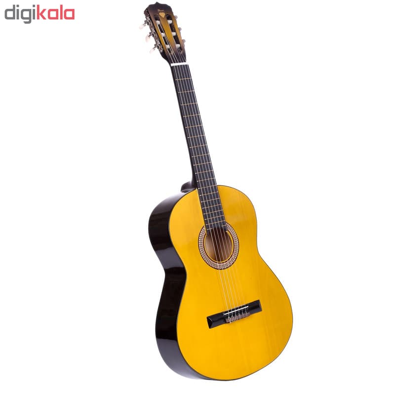 گیتار دایموند مدل TS600 — تصویر ۲