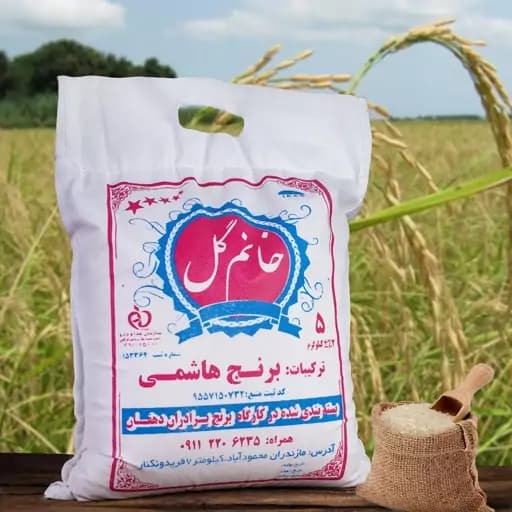 برنج طارم هاشمی فریدونکنار 5 کیلویی (ارسال رایگان) — تصویر ۲