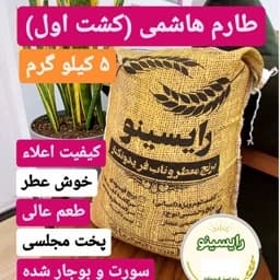 برنج طارم هاشمی اعلاء (کشت اول) فریدونکنار-(5 کیلویی) — تصویر ۳