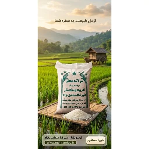 برنج طارم سرلاشه کشت اول فریدونکنار (10 کیلویی) و ارسال رایگان — تصویر ۲