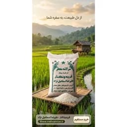 برنج طارم سرلاشه کشت اول فریدونکنار (10 کیلویی) و ارسال رایگان — تصویر ۳