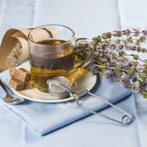 دمنوش چای کوهی و پونه کوهی 40گرم