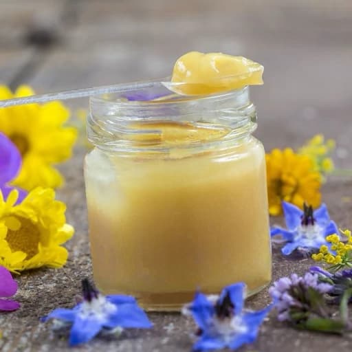 ژل رویال تازه و با کیفیت(100 گرمی/گریدA/هیدروکسی 2.7/برداشت1405)(مستقیم از زنبوردار/خدایاشکرت)