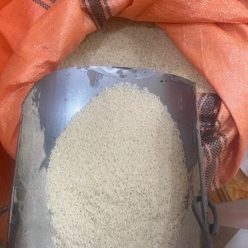 برنج طارم هاشمی روشن ((10 کیلویی ارسال رایگان))