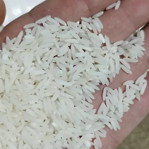 برنج طارم محلی فریدونکنار (طارم سنگی) مستقیم از تولید کننده 10کیلویی بوجار شده ارسال بصورت پسکرایه