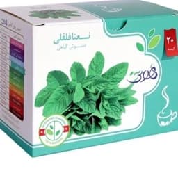 دمنوش گیاهی نعنا فلفلی هوتی بسته 20 عددی — تصویر ۳