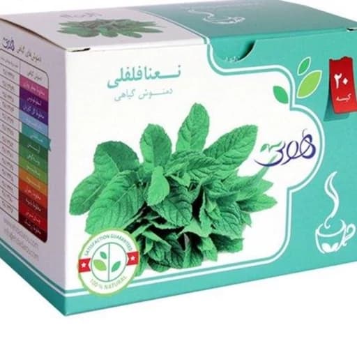 دمنوش گیاهی نعنا فلفلی هوتی بسته 20 عددی — تصویر ۲