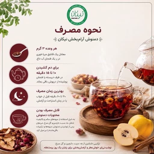 دمنوش میوه ای آرام بخش نیکان (با دارچین و گل سرخ) — تصویر ۲