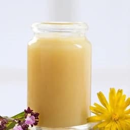 ژل رویال خالص طبیعی 10 گرمی — تصویر ۳