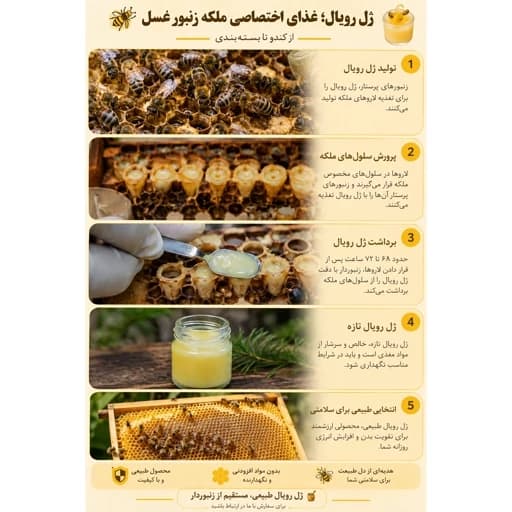 ژل رویال طبیعی (سلطنتی) زنبور عسل — تصویر ۲