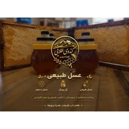 ژل رویال تازه (رویال ژلی، ژله رویال) اصل و خالص ملکه زنبور عسل — تصویر ۳