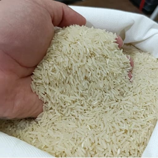 برنج طارم هاشمی ممتاز — تصویر ۴