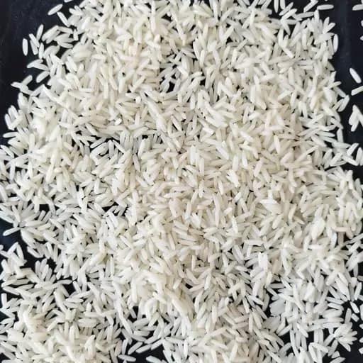 برنج طارم استخوانی فریدونکنار برنج صددرصد ایرانی خالص مستقیم از تولید کننده 10کیلویی سورت شده ارسال بصورت پسکرایه — تصویر ۲