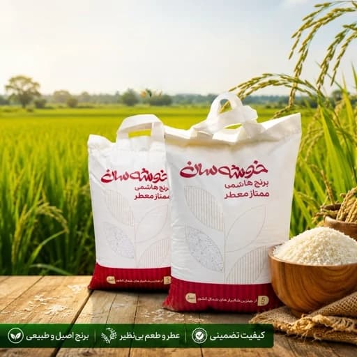 برنج طارم هاشمی درجه یک عطری مارک خوشه سان باارسال رایگان(10کیلوگرم)