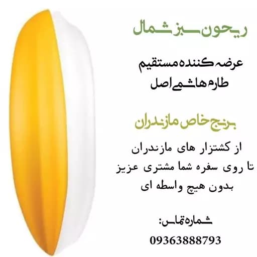 برنج طارم هاشمی فوق اعلا امساله(20کیلویی) — تصویر ۲