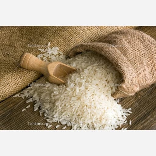 برنج طارم هاشمی ممتاز قائمشهر