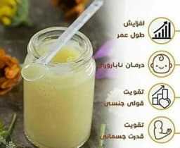 ژل رویال 10گرمی مالزی وارداتی — تصویر ۳