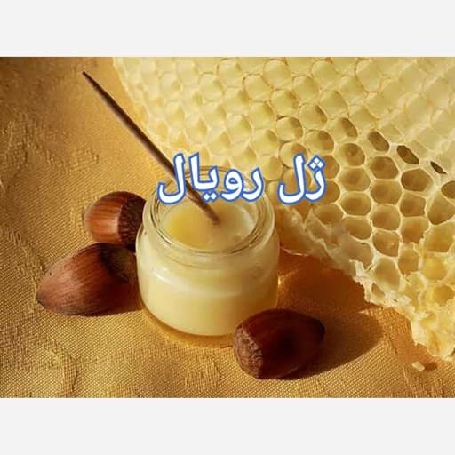 ژل رویال ایرانی (خالص) — تصویر ۲