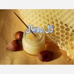 ژل رویال ایرانی (خالص) — تصویر ۳