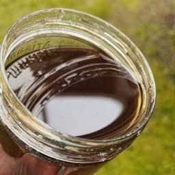 ژل رویال گرده عسل 1 کیلو ارسال رایگان دیابت،ناباروری زوجین،قوت ده فوق العاده ترکیب عسل،ژل رویال،گرده گل درجه کیفی گرید A — تصویر ۳