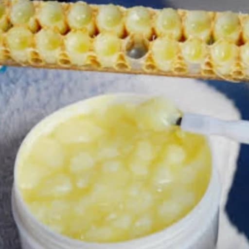 ژل رویال خالص ملکه زنبور عسل 10 گرمی (جایزه دار 30 گرم عسل)گرید A فوق العاده باکیفیت و درجه کیفی A زنبورستان ماهور