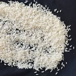 برنج طارم محلی فریدونکنار دوباره کشت مستقیم از تولید کننده صددرصد ایرانی خالص سورت شده 10 کیلویی ارسال بصورت پسکرایه — تصویر ۳