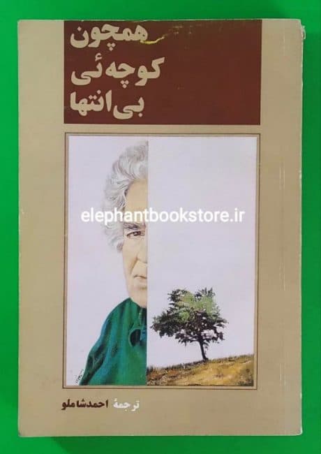 کتاب همچون کوچه ای بی انتها اثر احمد شاملو — تصویر ۵