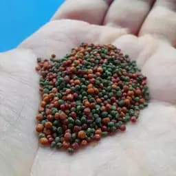 غذای رنگدهی ماهیان آکواریوم 100 گرم (1 میلی رنگی) — تصویر ۳