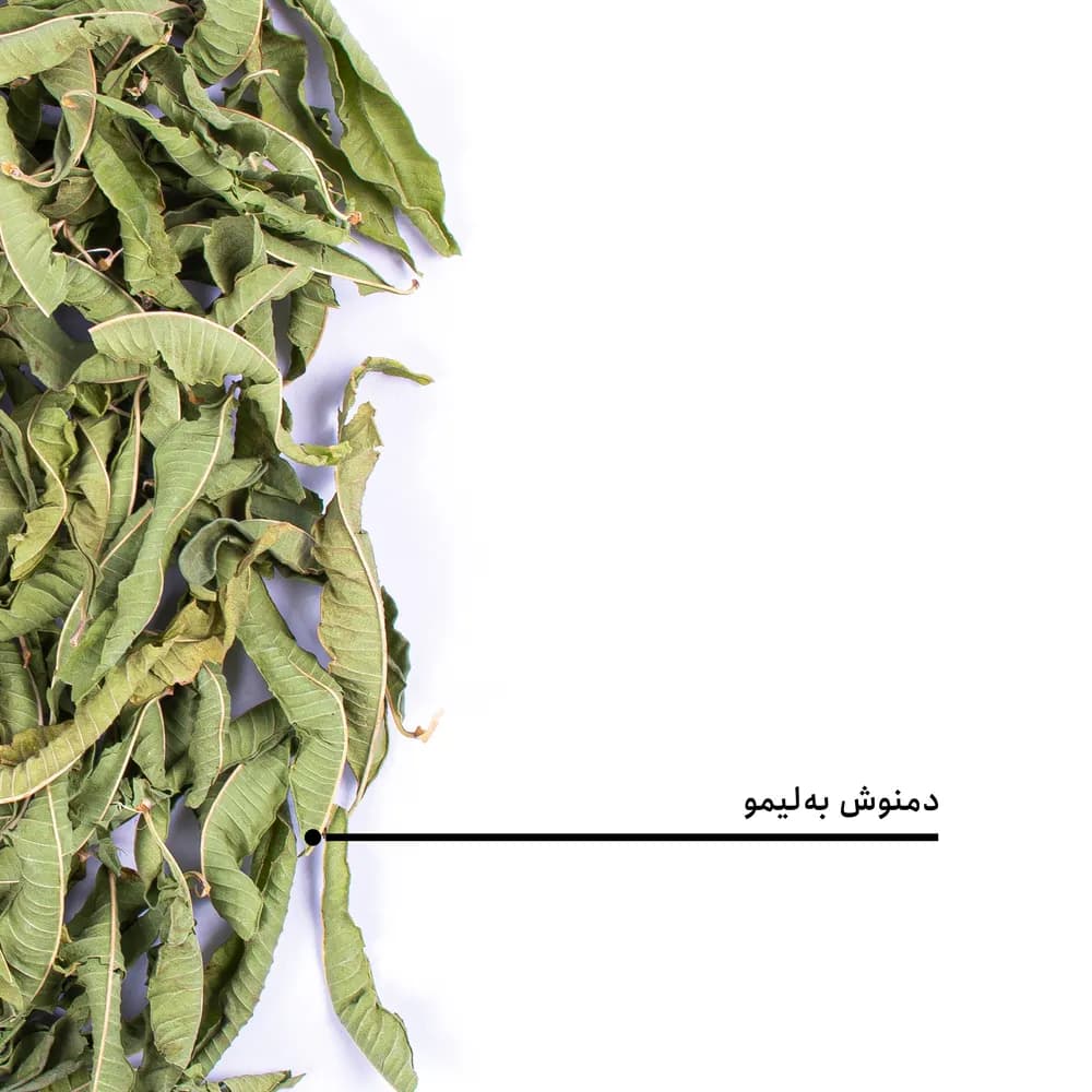 دمنوش به لیمو — تصویر ۶