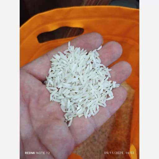 برنج طارم هاشمی صادراتی