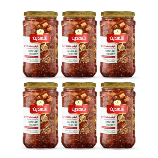ترشی مخلوط بندری شهدین - 660 گرم- بسته 6 عددی
