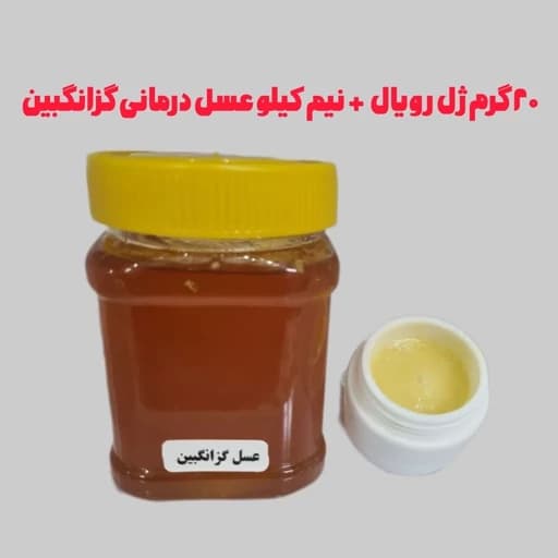 ترکیب ژل رویال و عسل طبیعی (20 گرم ژل + نیم کیلو عسل)