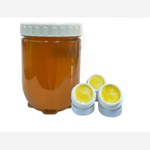 ترکیب 20 گرم ژل رویال ایرانی و 500 گرم عسل دیابتی