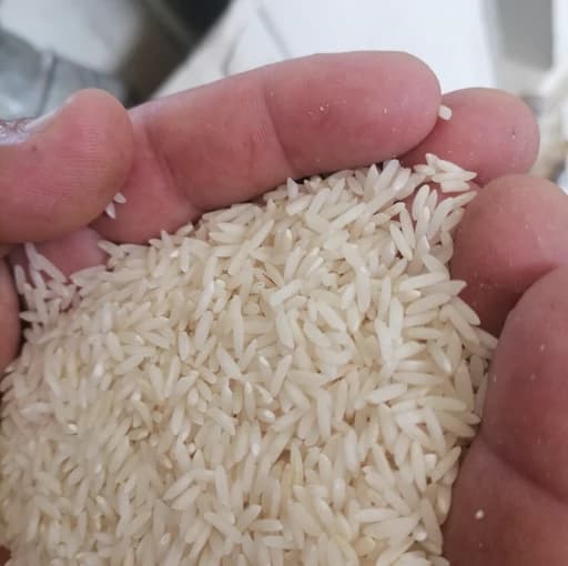 برنج طارم — تصویر ۴