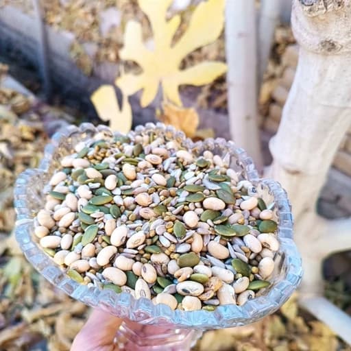 آجیل سلامت ، چهار مغز مخلوط اعلا