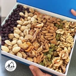 آجیل میکس خشکبار ماندگار ترکیب آجیل ایرانی و میوه خشک — تصویر ۳