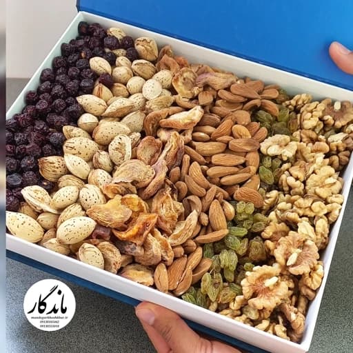 آجیل میکس خشکبار ماندگار ترکیب آجیل ایرانی و میوه خشک — تصویر ۲