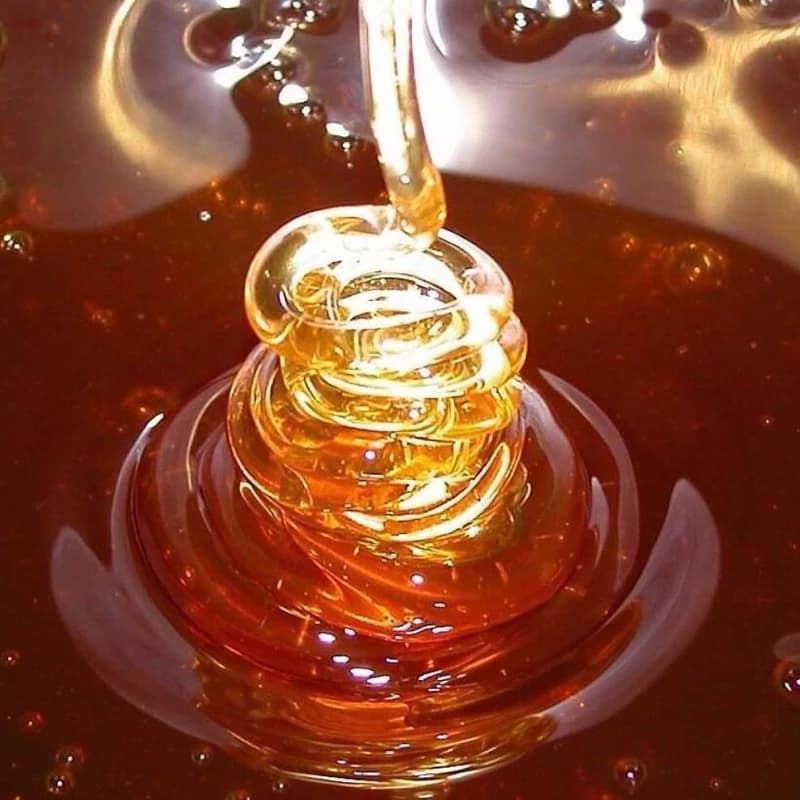 عسل کنار (سدر) طبیعی