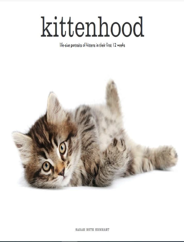 دانلود کتاب Kittenhood: Life-size Portraits of Kittens in Their First 12 Weeks