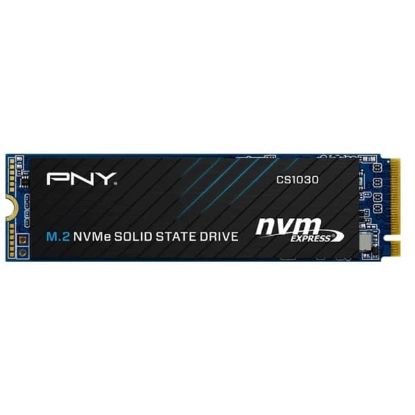 اس اس دی پی ان وای SSD M.2 PNY 256GB CS1031
