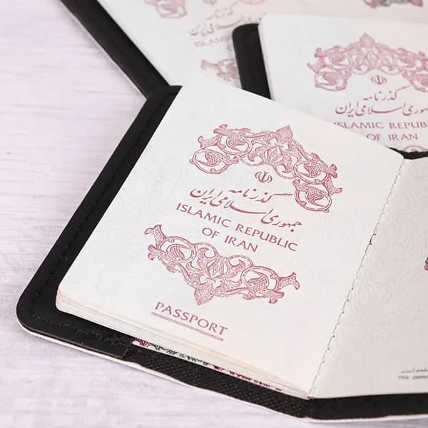 کاور پاسپورت و شناسنامه فانتزی چرم نئون مدل PC105 — تصویر ۳